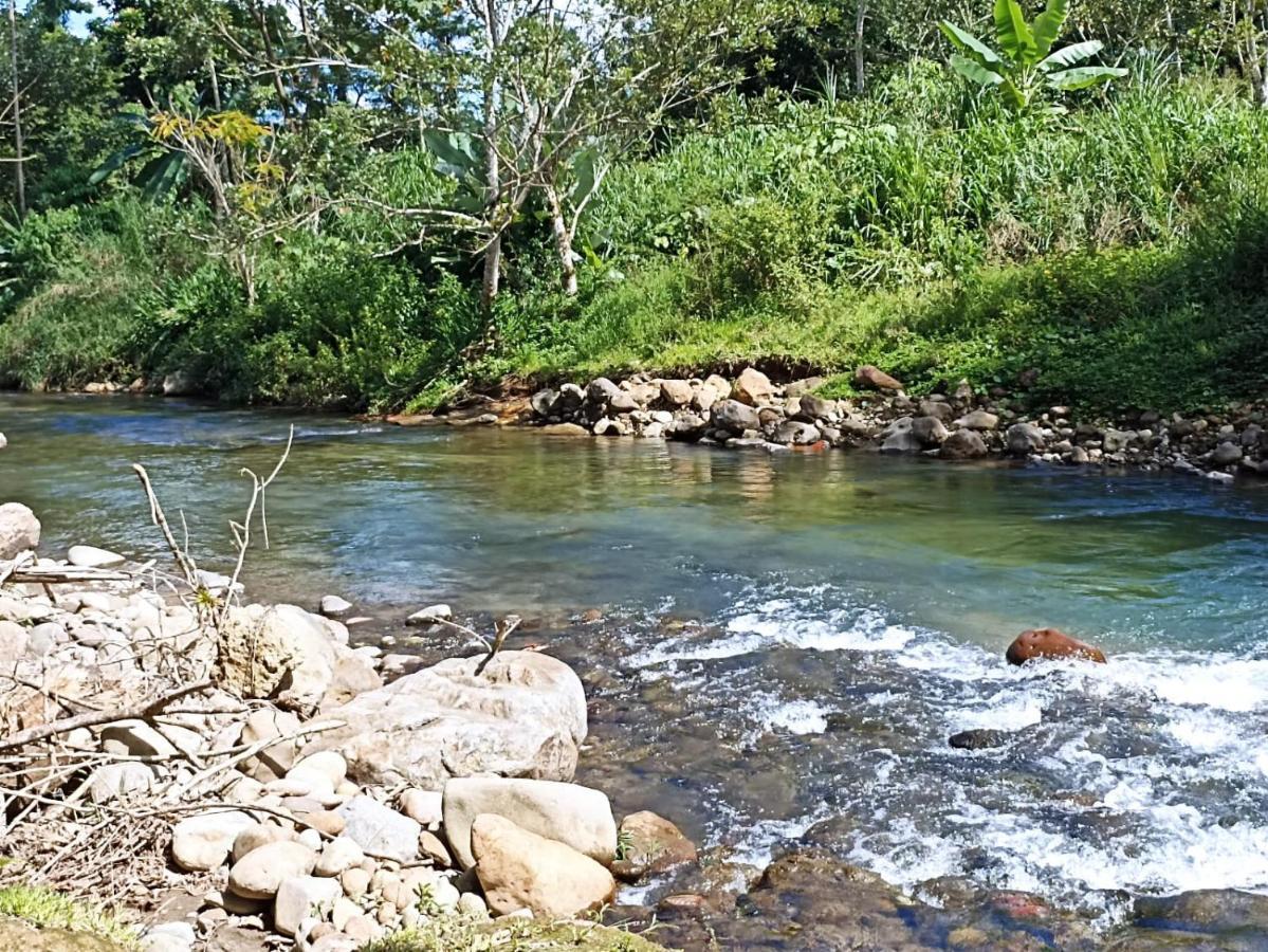 Villa Ceiba La Fortuna Eksteriør bilde