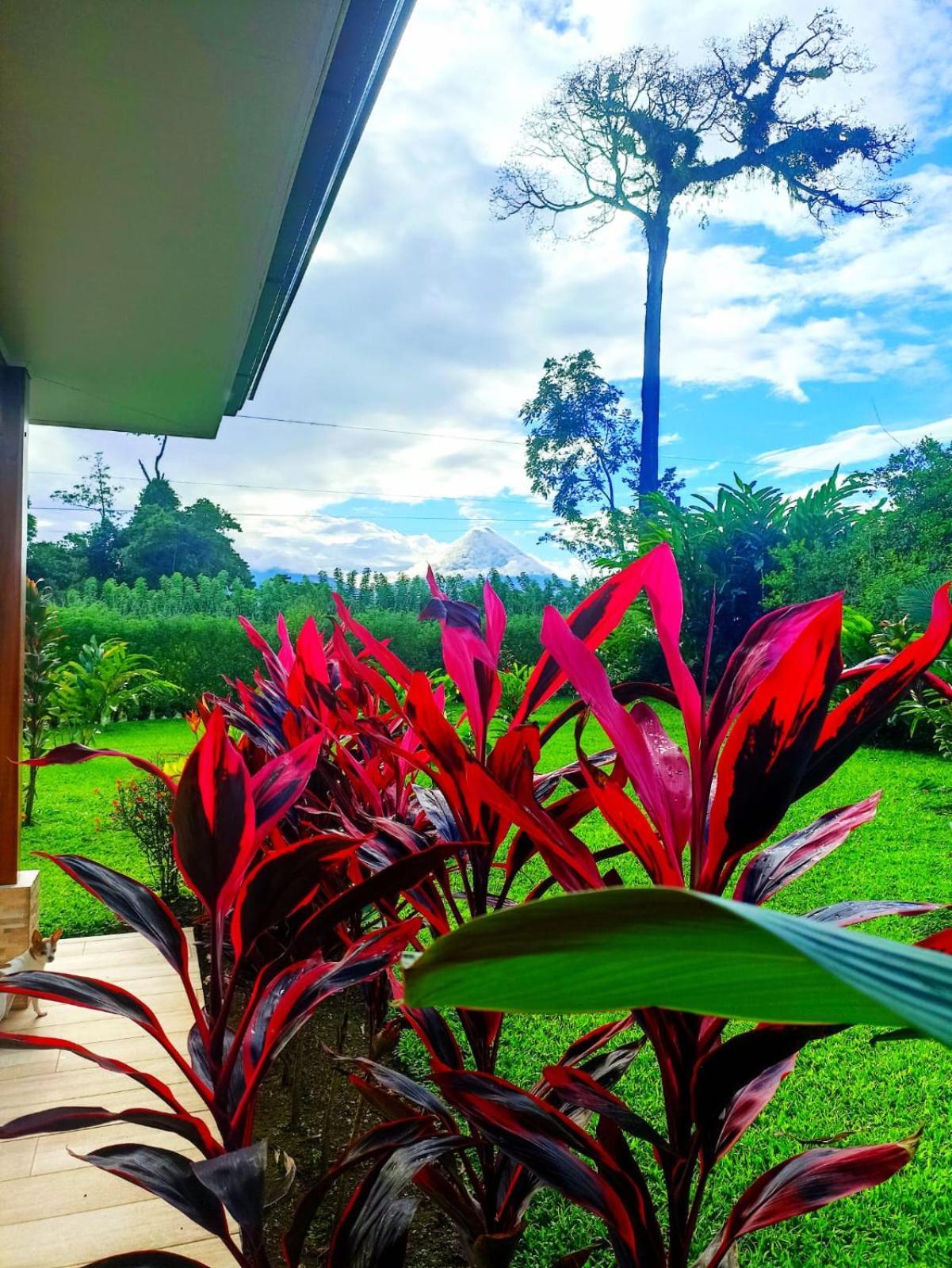Villa Ceiba La Fortuna Eksteriør bilde