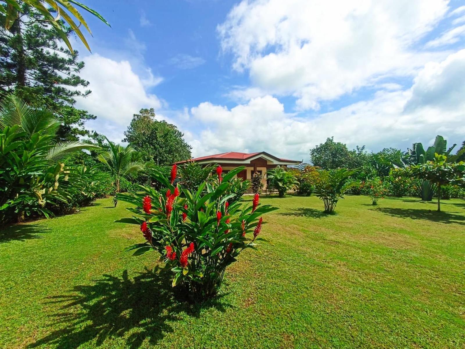 Villa Ceiba La Fortuna Eksteriør bilde