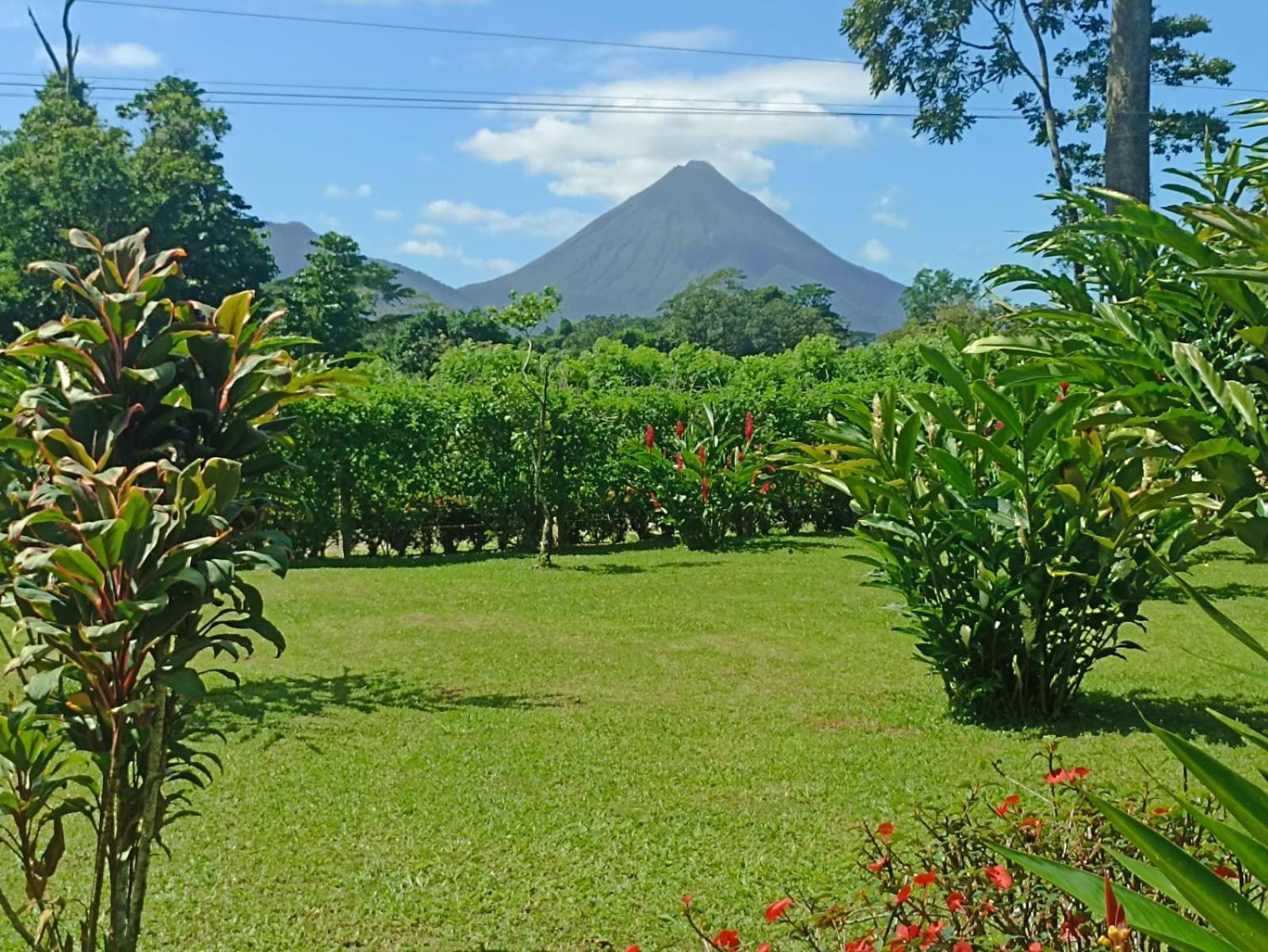 Villa Ceiba La Fortuna Eksteriør bilde